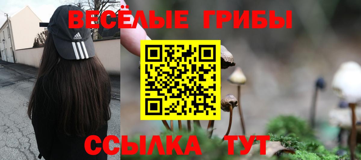Галлюциногенные грибы мухоморы Гусиноозёрск